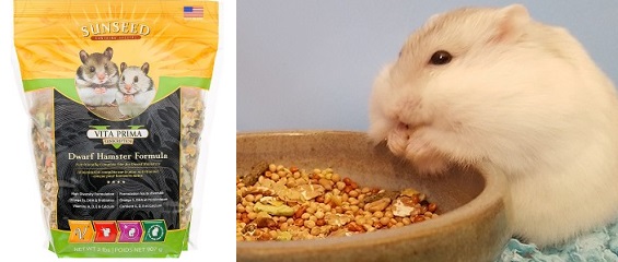 dwarf-hamster-food-buy